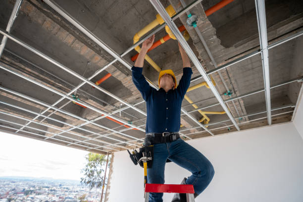 Best Plumbing Inspection Services  in Grand Blanc, MI